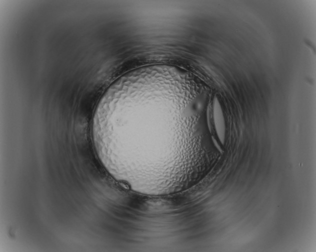 X0000091370557200708241336