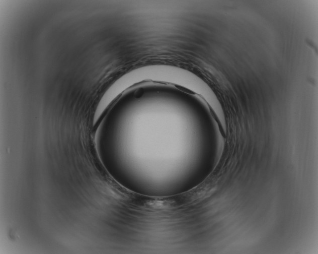 X0000091370558200708241336