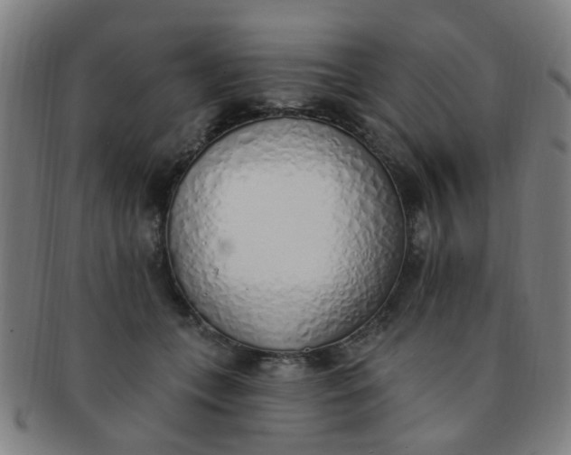 X0000091370559200708241336