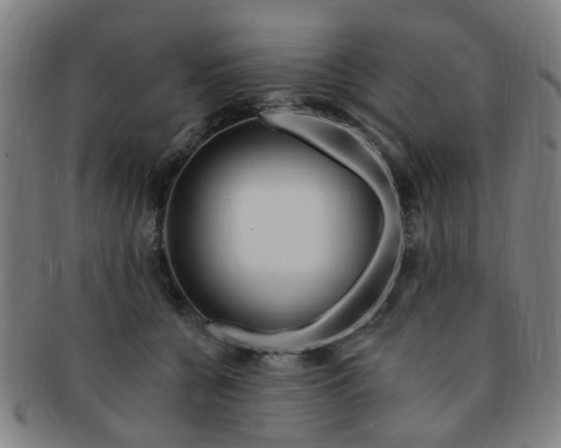 X0000091370560200708241336