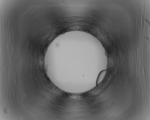 X0000091370561200708241336