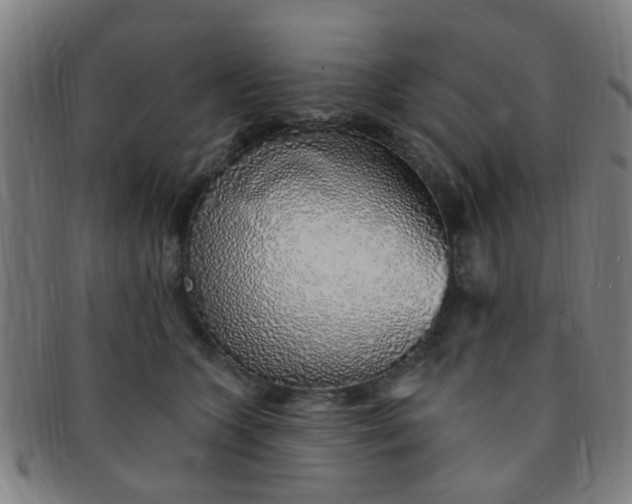 X0000091370563200708241336