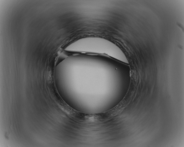 X0000091370564200708241336