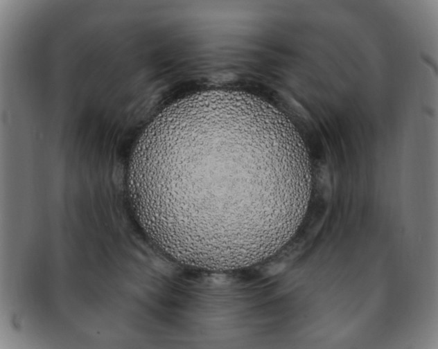 X0000091370565200708241336