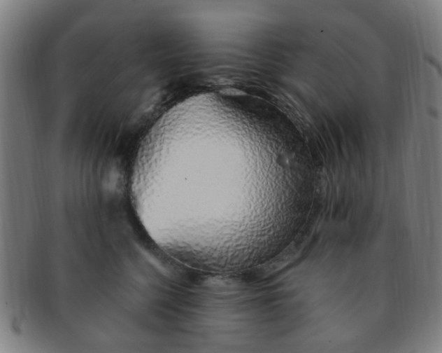 X0000091370568200708241336