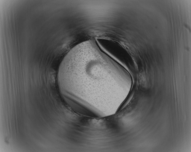 X0000091370570200708241336