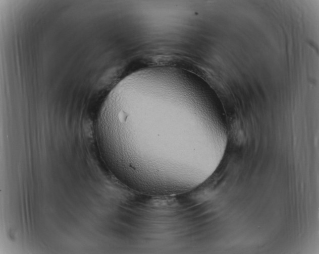 X0000091370571200708241336