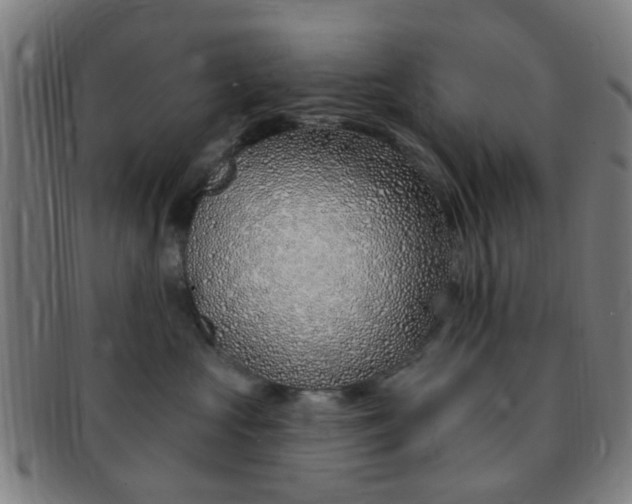 X0000091370573200708241336