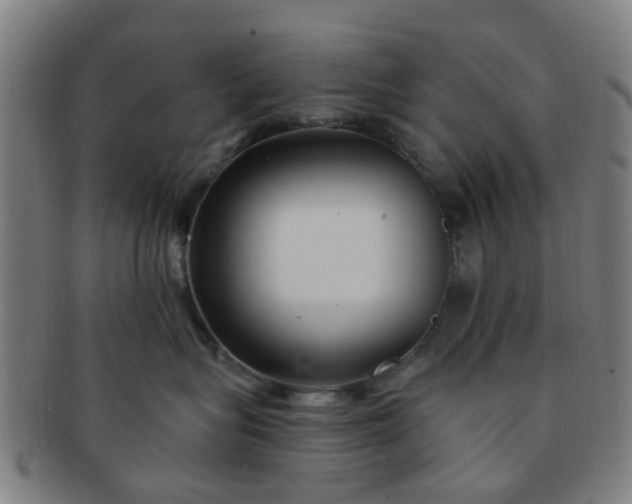 X0000091370575200708241336