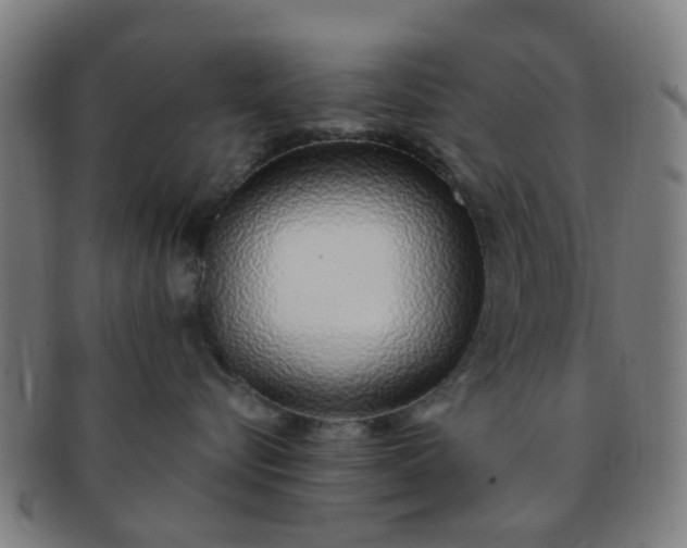 X0000091370576200708241336