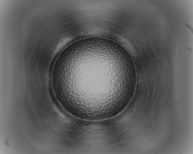 X0000091370578200708241335