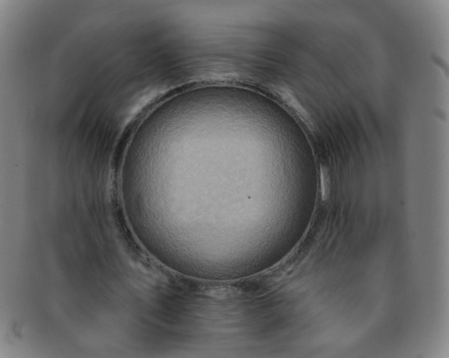 X0000091370579200708241335