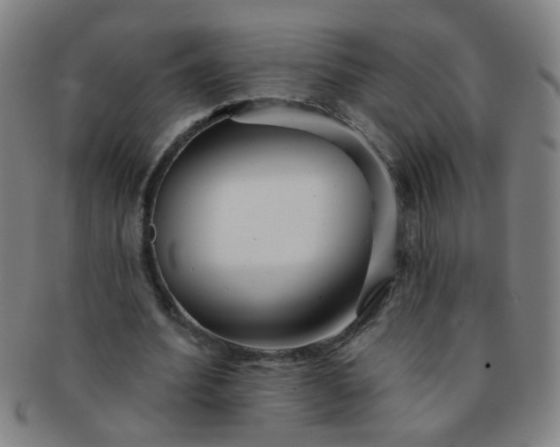 X0000091370580200708241335