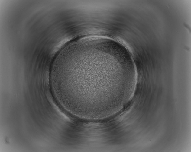 X0000091370581200708241335