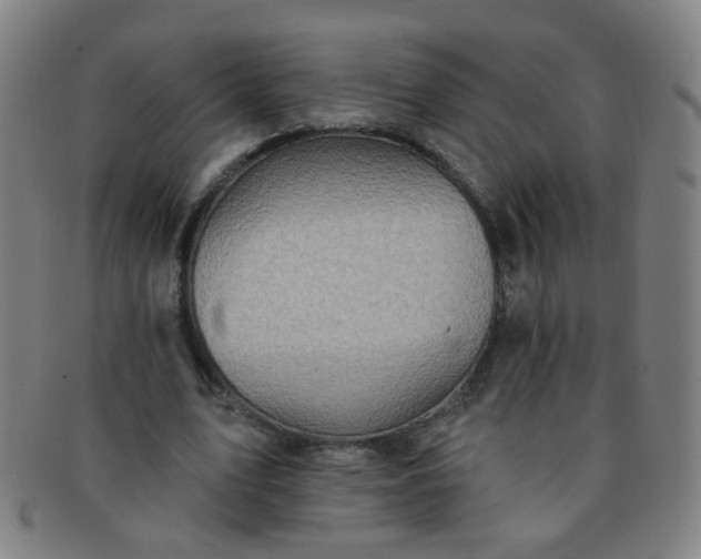 X0000091370583200708241335