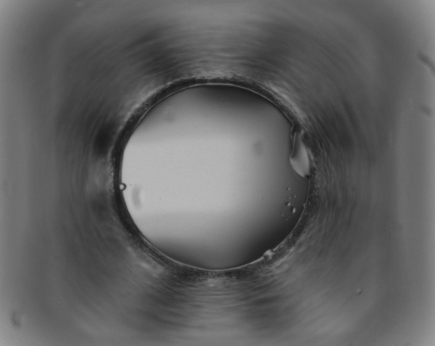 X0000091370584200708241335