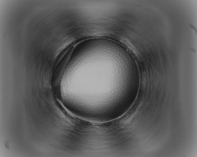 X0000091370585200708241335