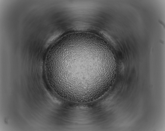 X0000091370586200708241335