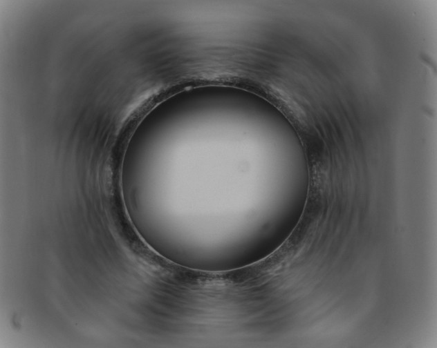 X0000091370587200708241335