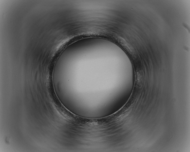 X0000091370588200708241335