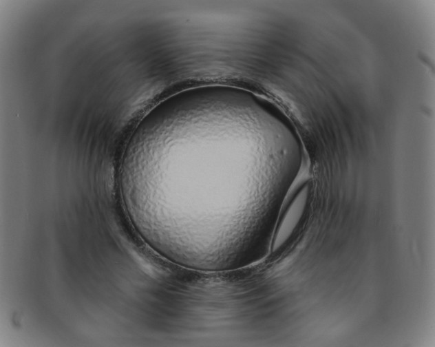 X0000091370589200708241335