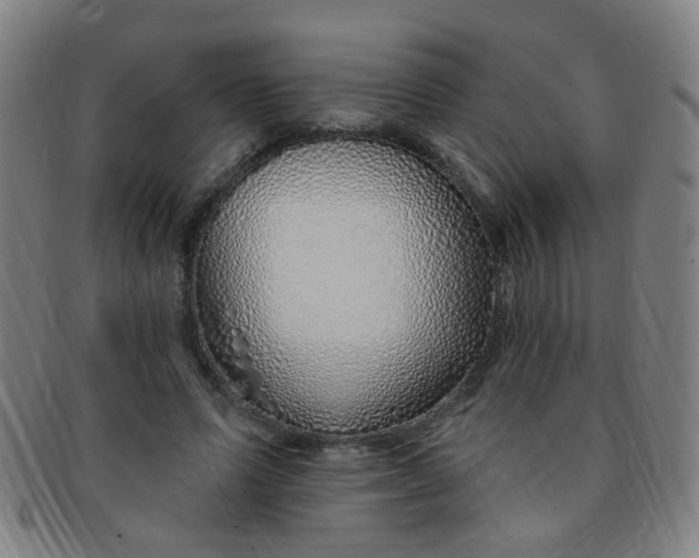 X0000091370591200708241335