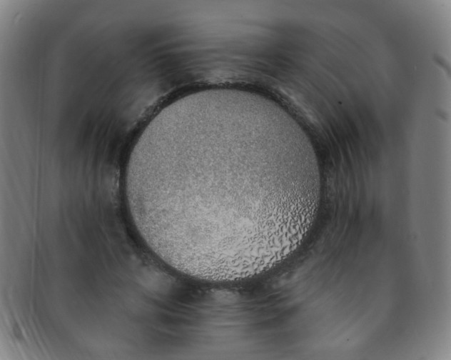 X0000091370592200708241335