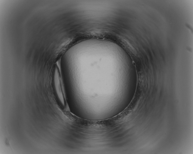 X0000091370593200708241335