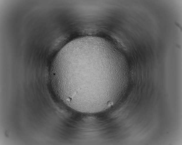 X0000091370594200708241335