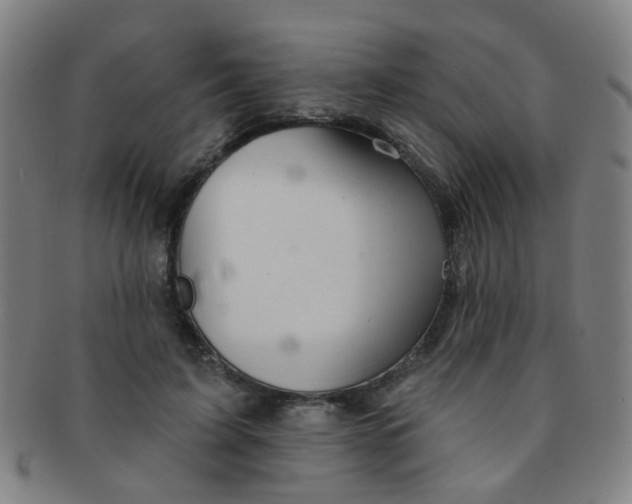 X0000091370595200708241335