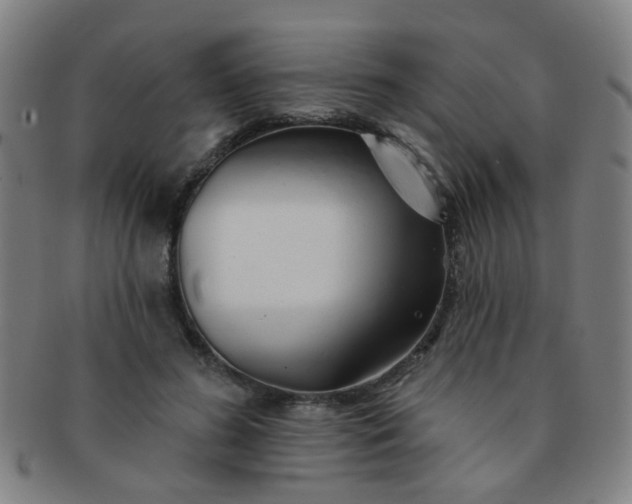 X0000091370596200708241335