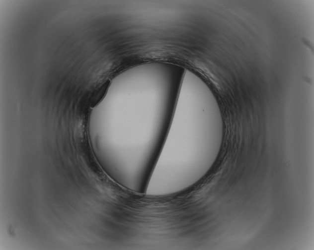 X0000091370597200708241335