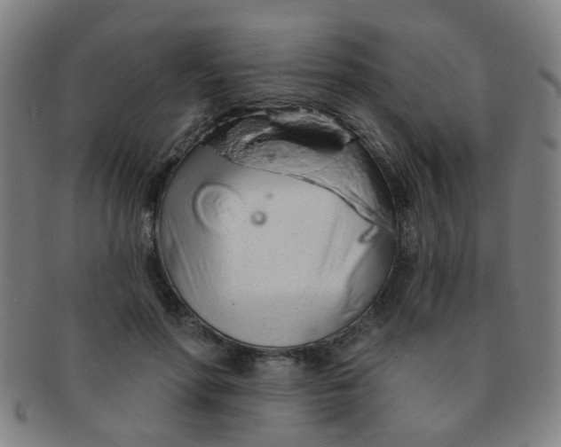 X0000091370598200708241335