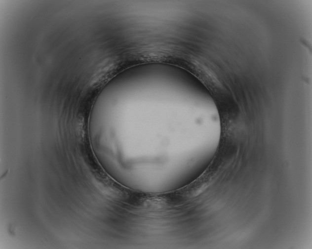 X0000091370599200708241335