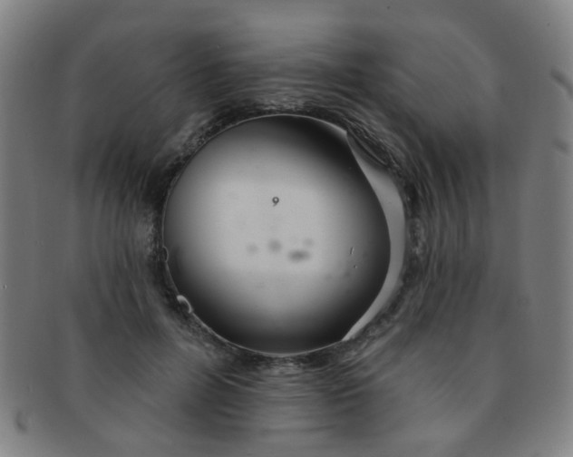 X0000091370600200708241335