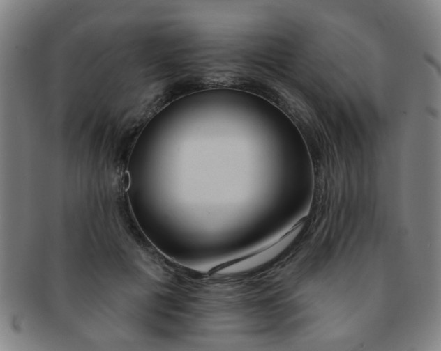 X0000091370601200708241335