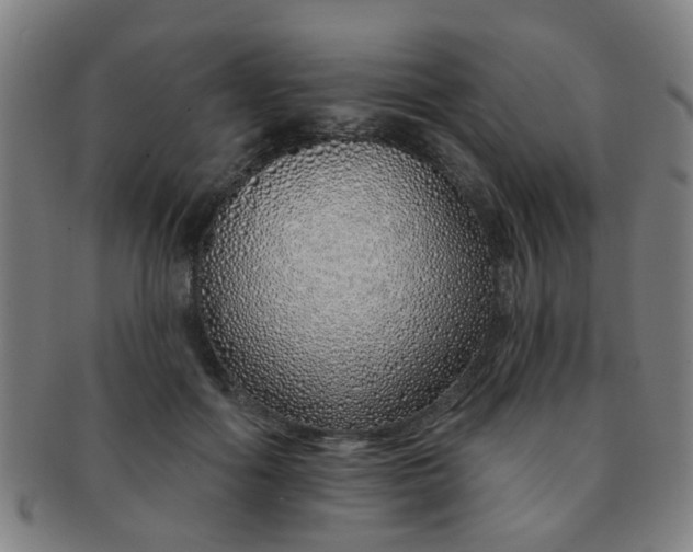 X0000091370602200708241335