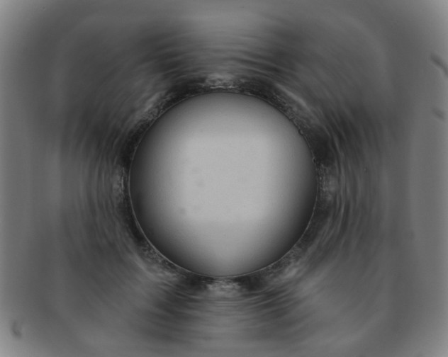 X0000091370603200708241335