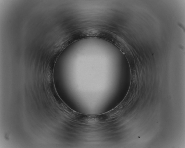 X0000091370604200708241335