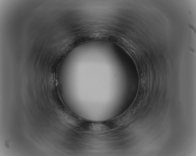 X0000091370605200708241335