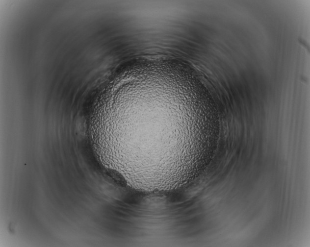 X0000091370606200708241335