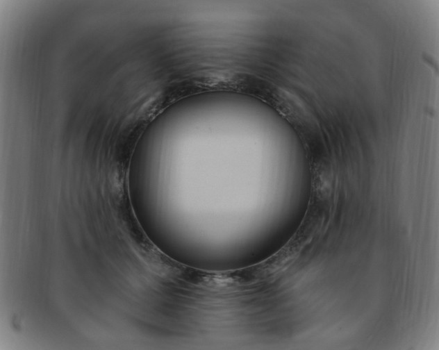 X0000091370607200708241335