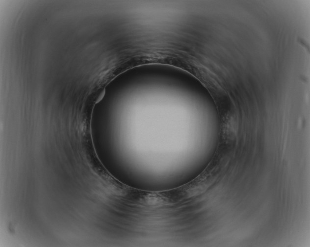 X0000091370608200708241335