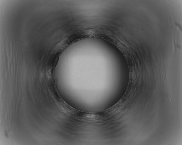 X0000091370611200708241335