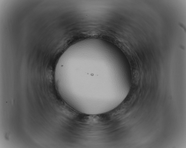 X0000091370612200708241335