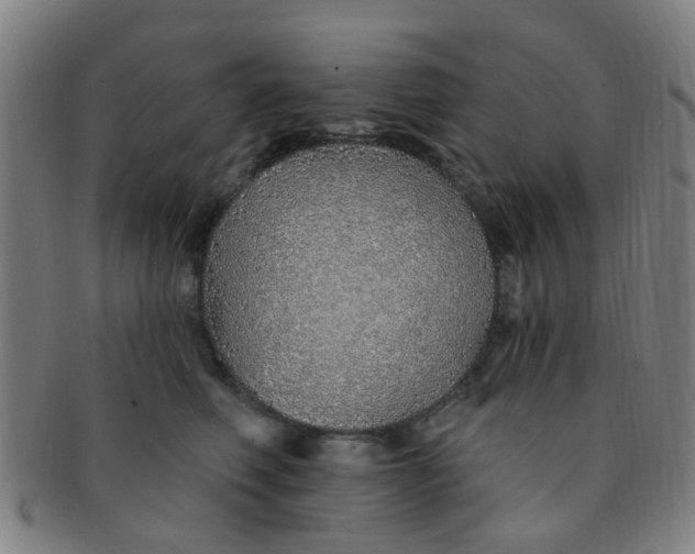 X0000091370614200708241335