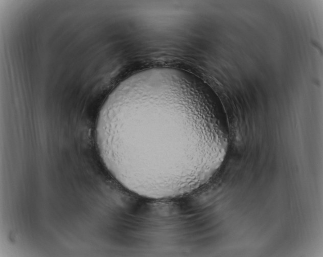 X0000091370615200708241335