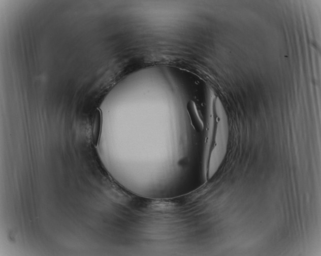 X0000091370617200708241335