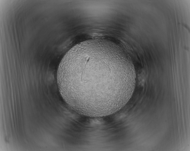 X0000091370618200708241335