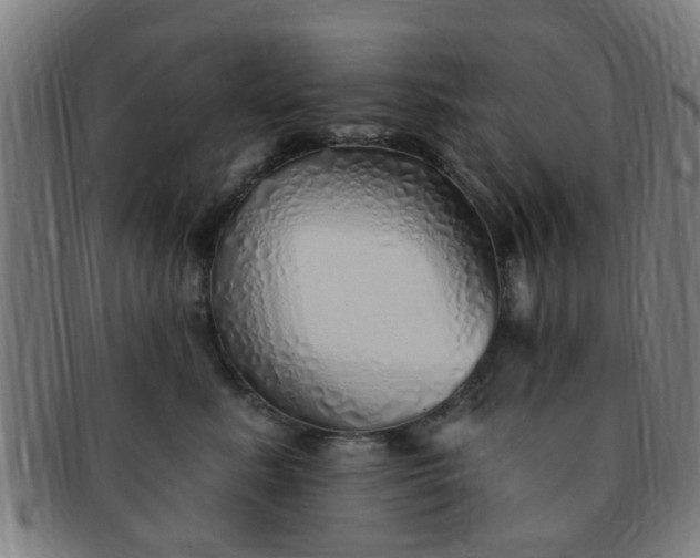 X0000091370619200708241335